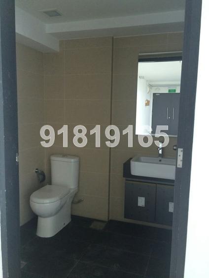 PRIMAX (D19), Factory #104928332
